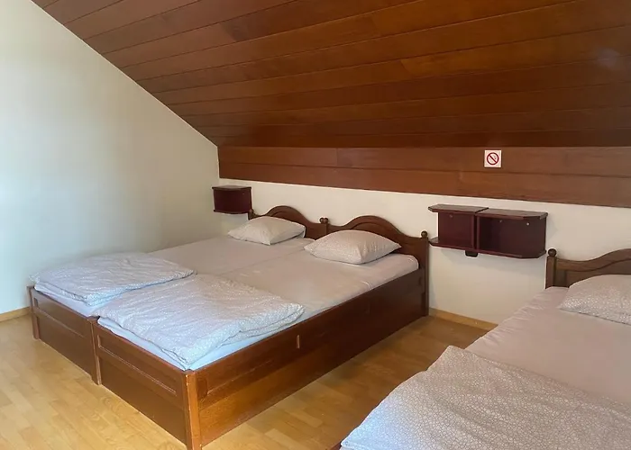 Hostel Youth Bledec *